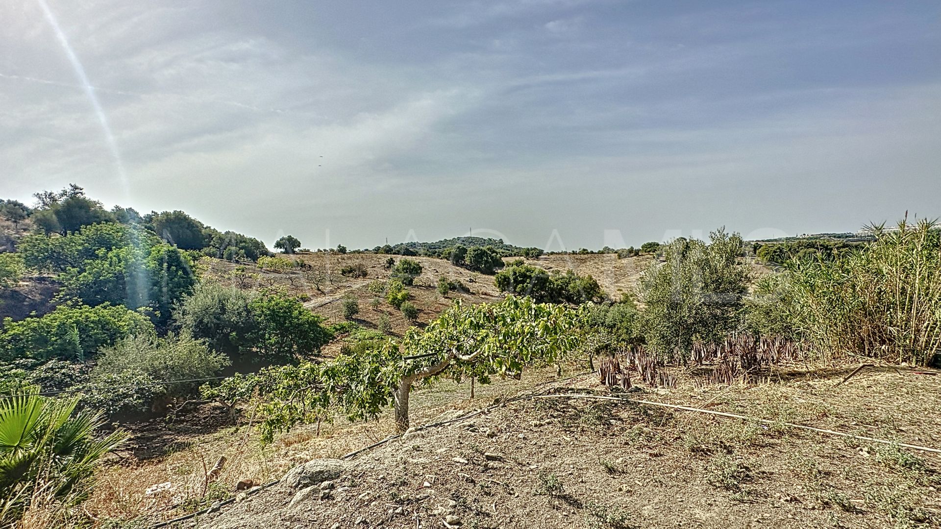 Finca for sale in Estepona