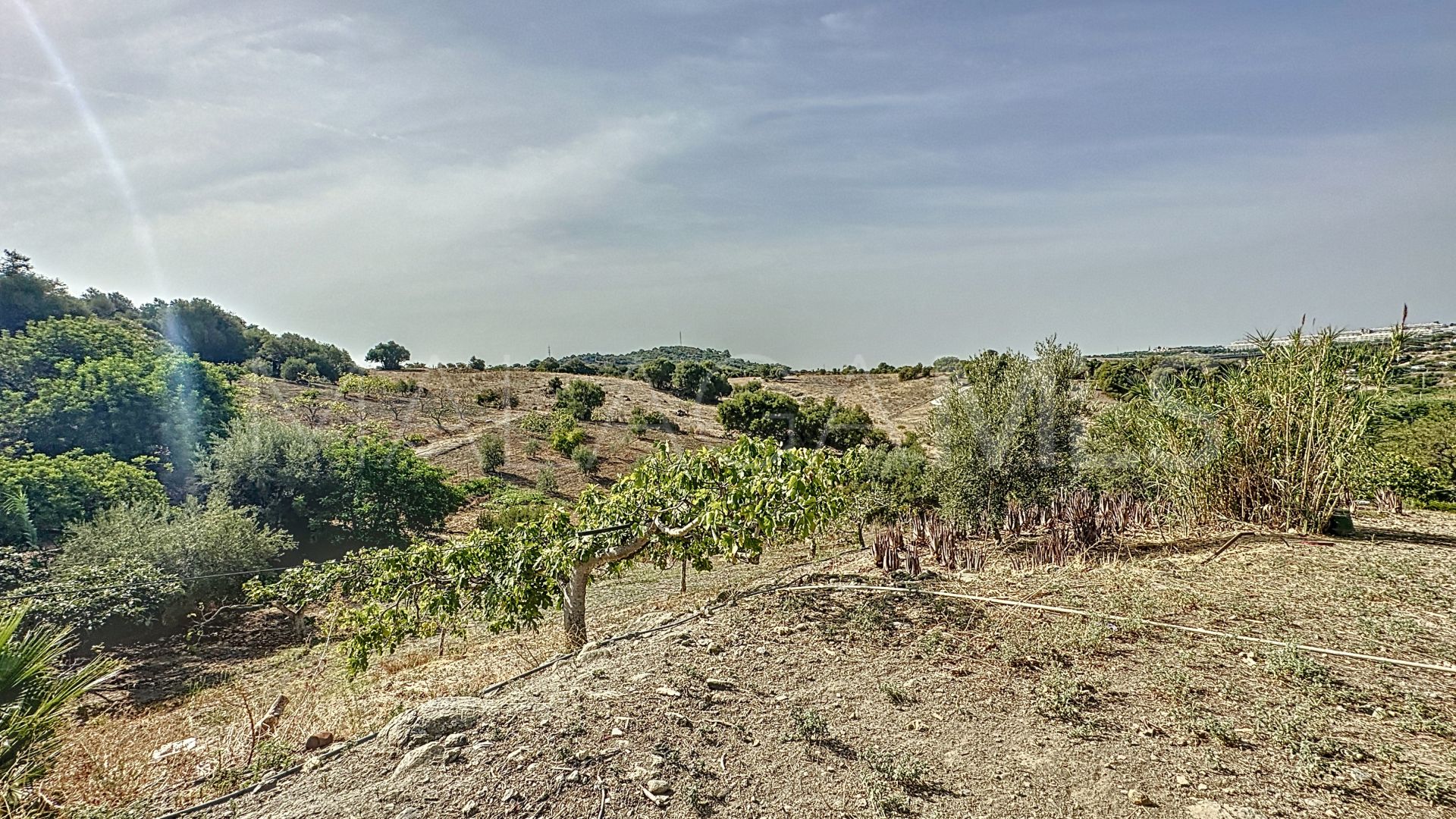 Finca for sale in Estepona