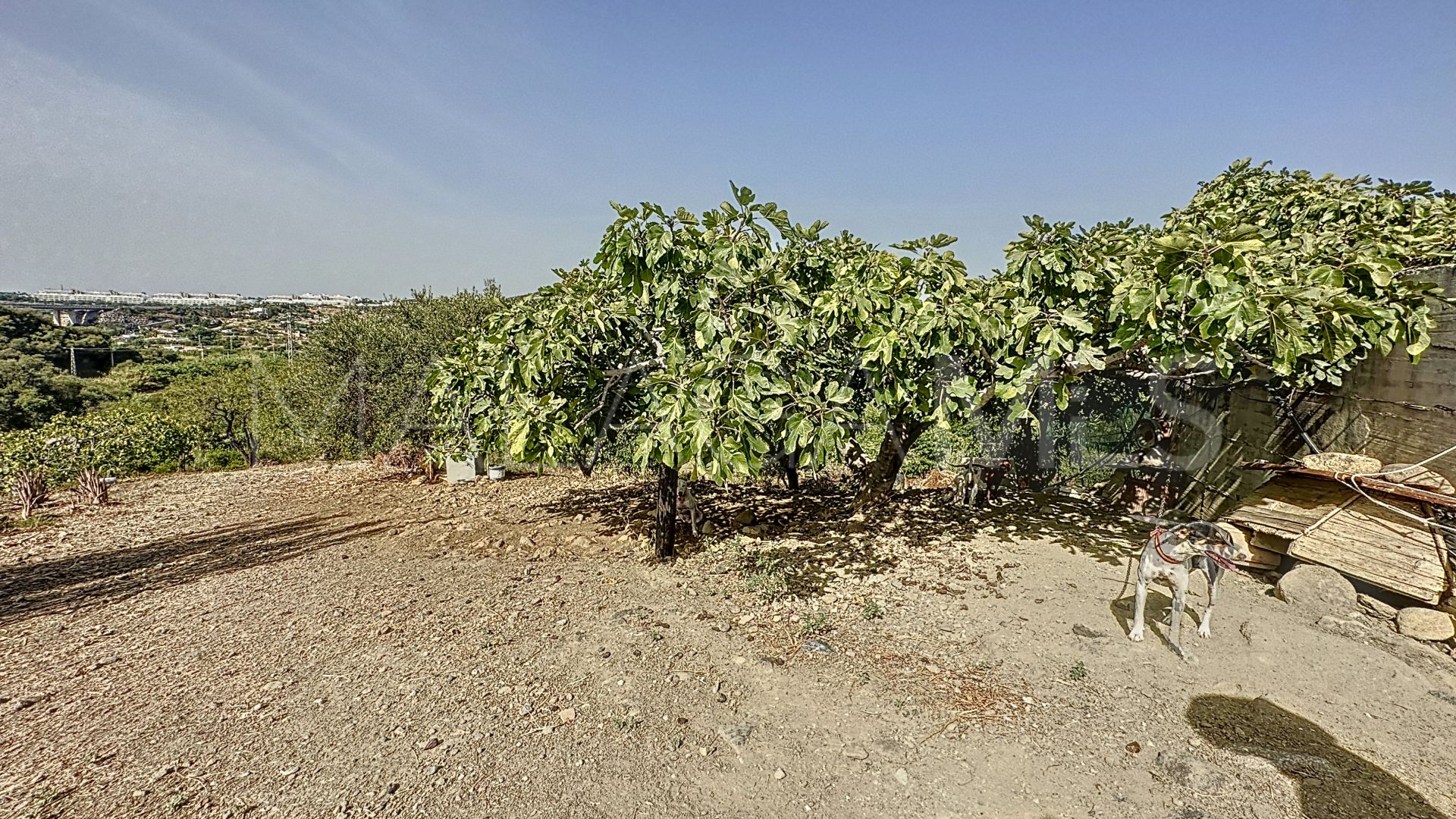 Finca for sale in Estepona