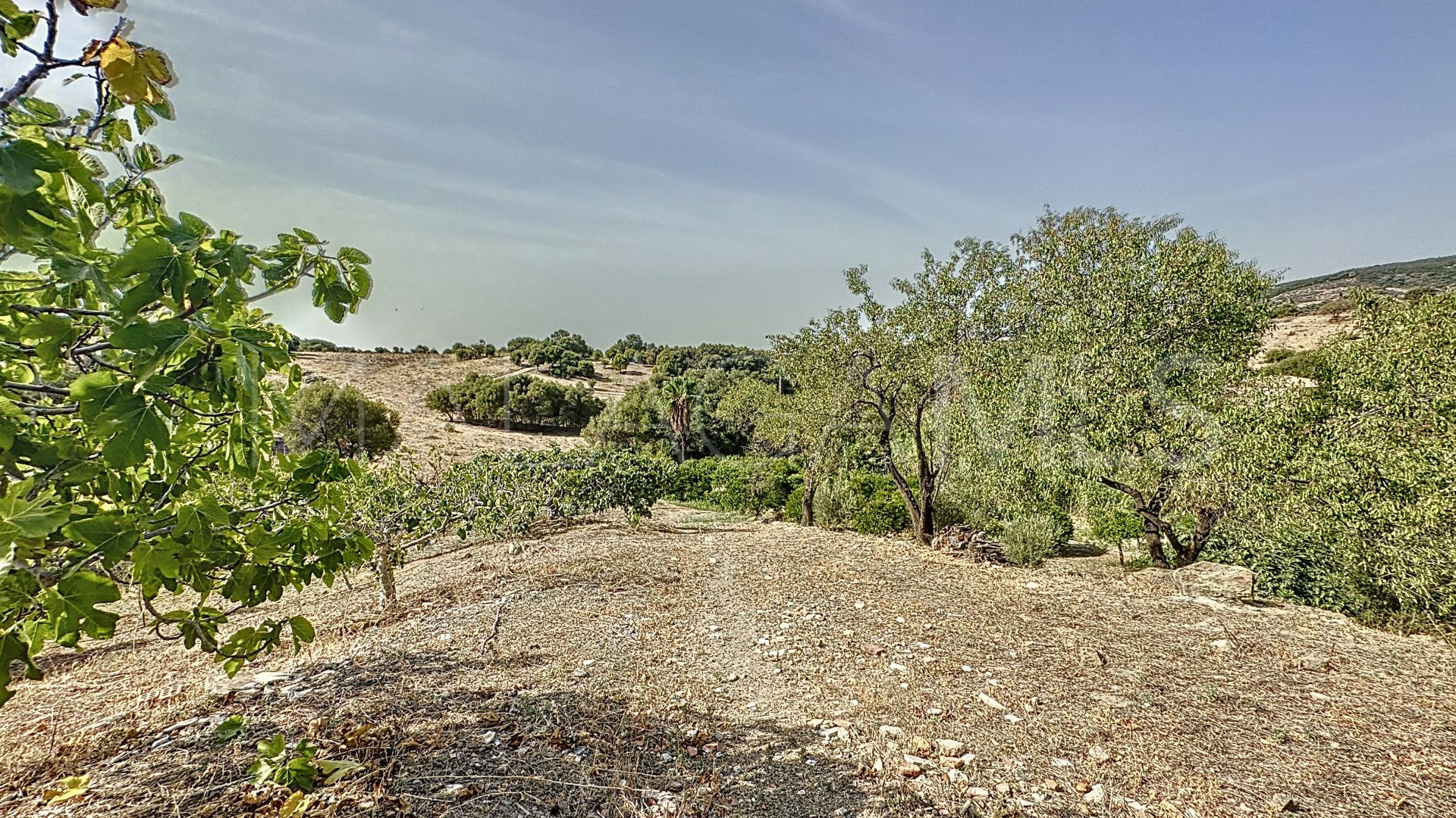 Finca for sale in Estepona
