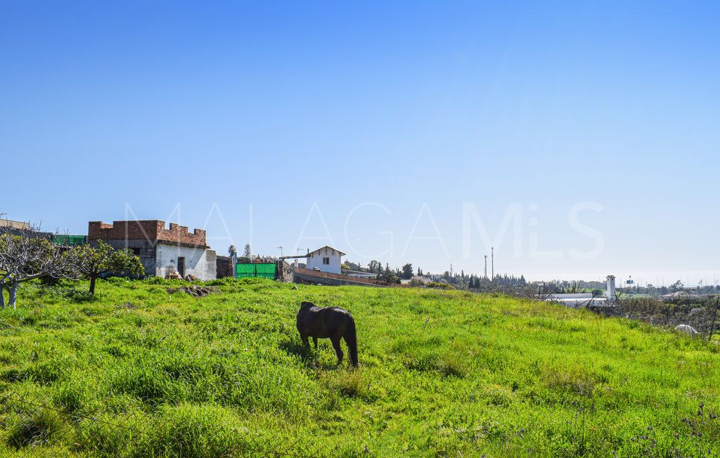 Buy 5 bedrooms country house in Estepona