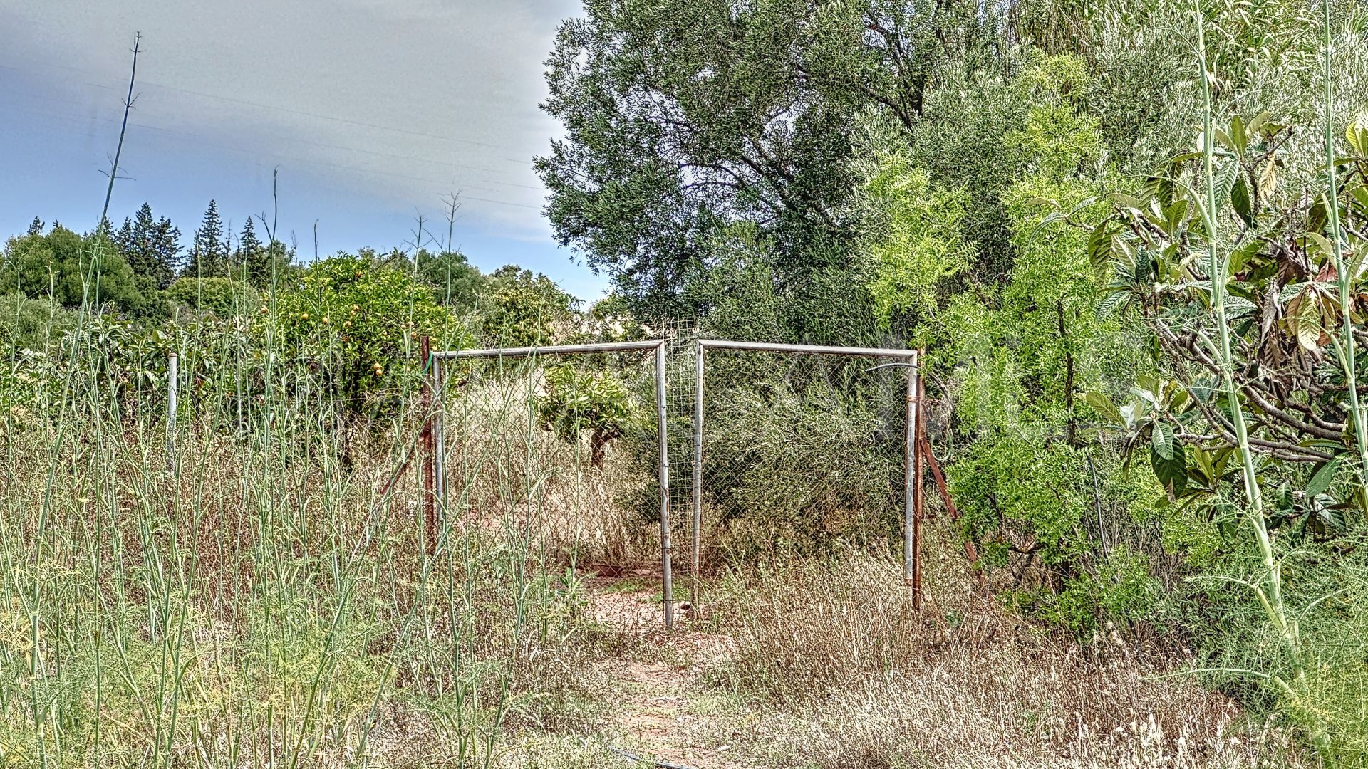 Maison de campagne for sale in El Padron