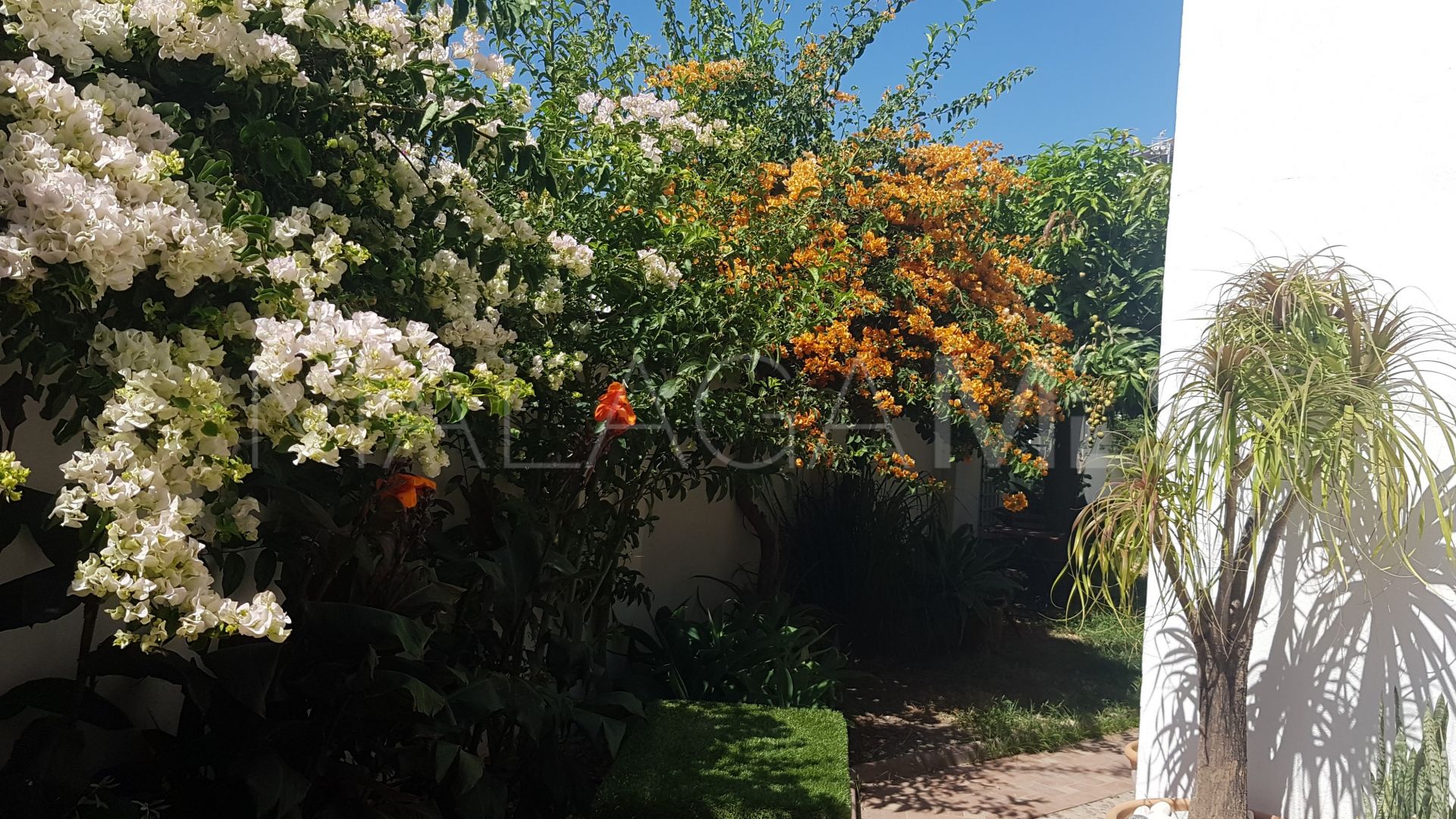 Maison jumelée for sale in Avda de Andalucia - Sierra de Estepona