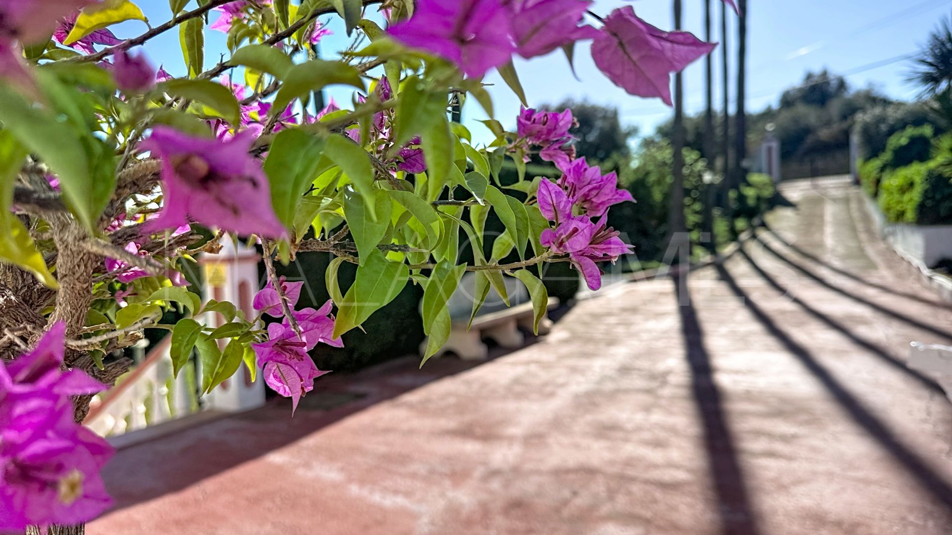 3 bedrooms country house in La Alberdina for sale