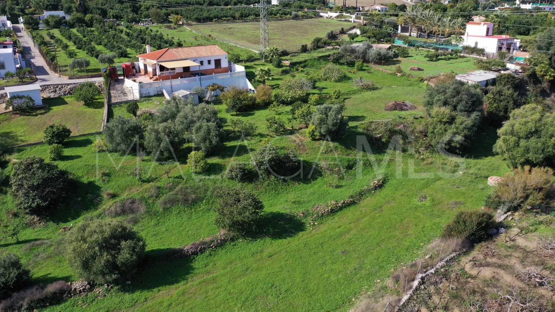 Finca for sale in El Padron