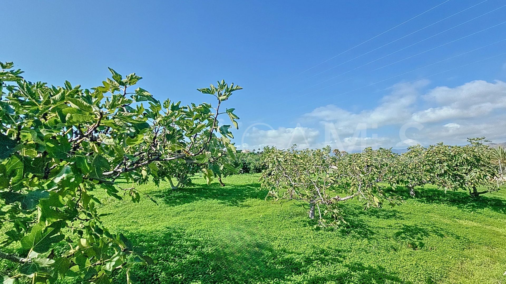 Finca for sale in El Padron