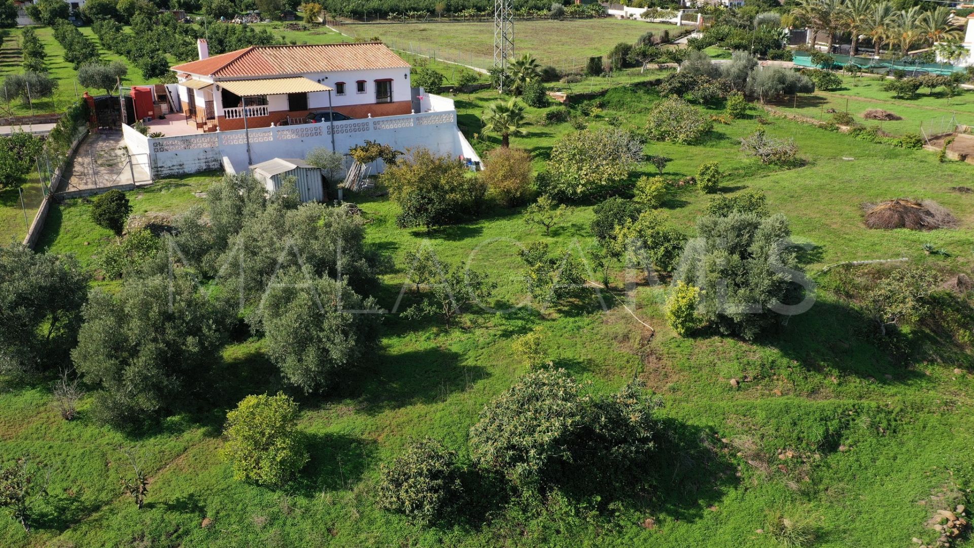 Finca for sale in El Padron