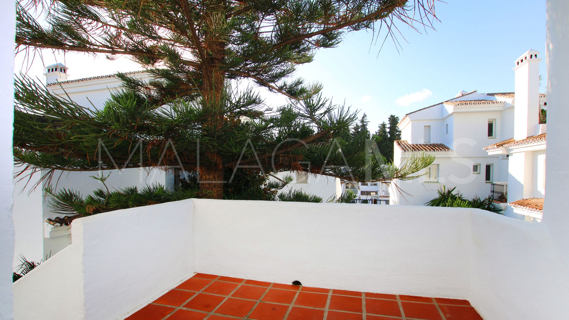 Buy Los Naranjos de Marbella duplex penthouse