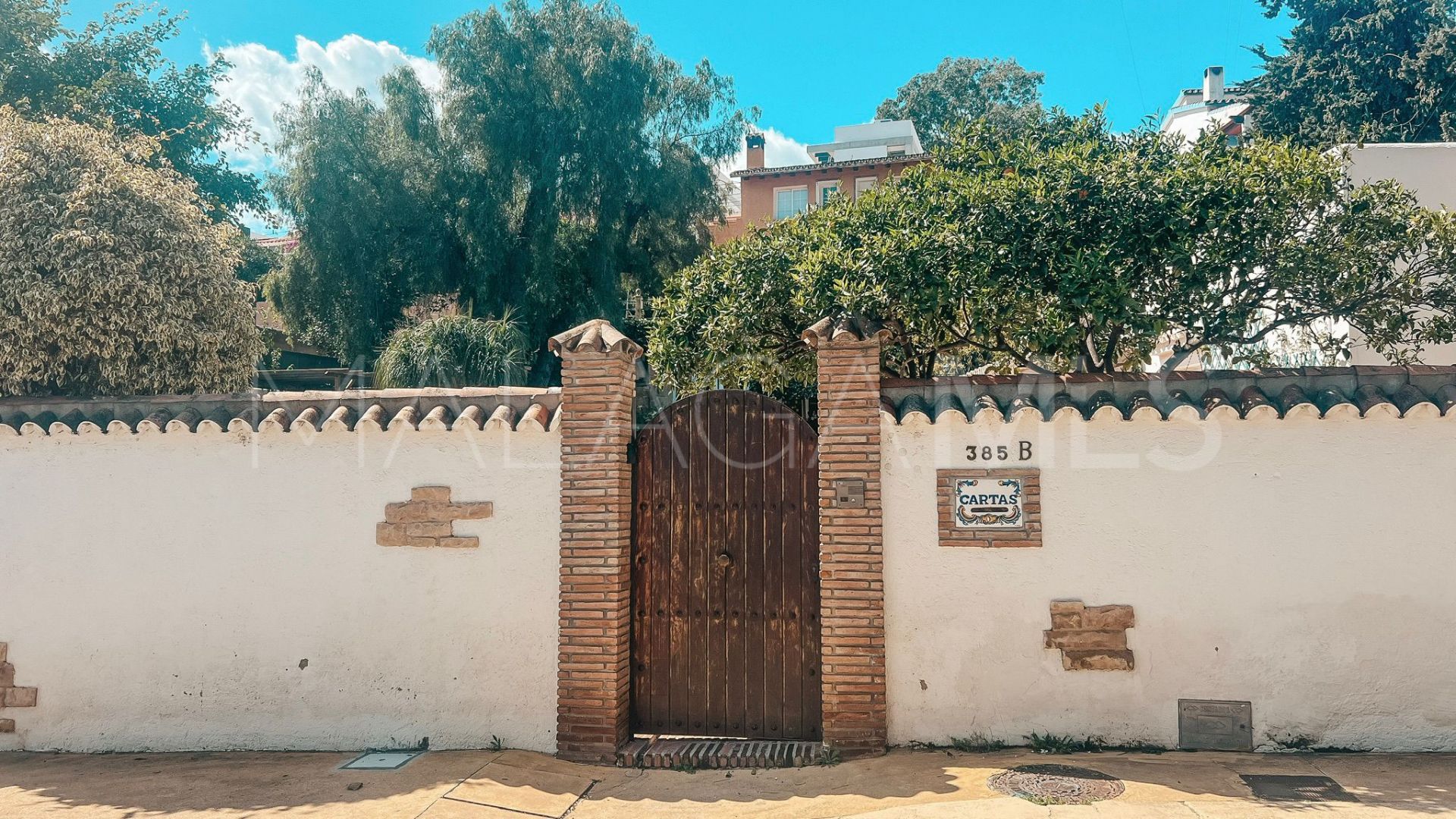 Buy villa in Nueva Andalucia