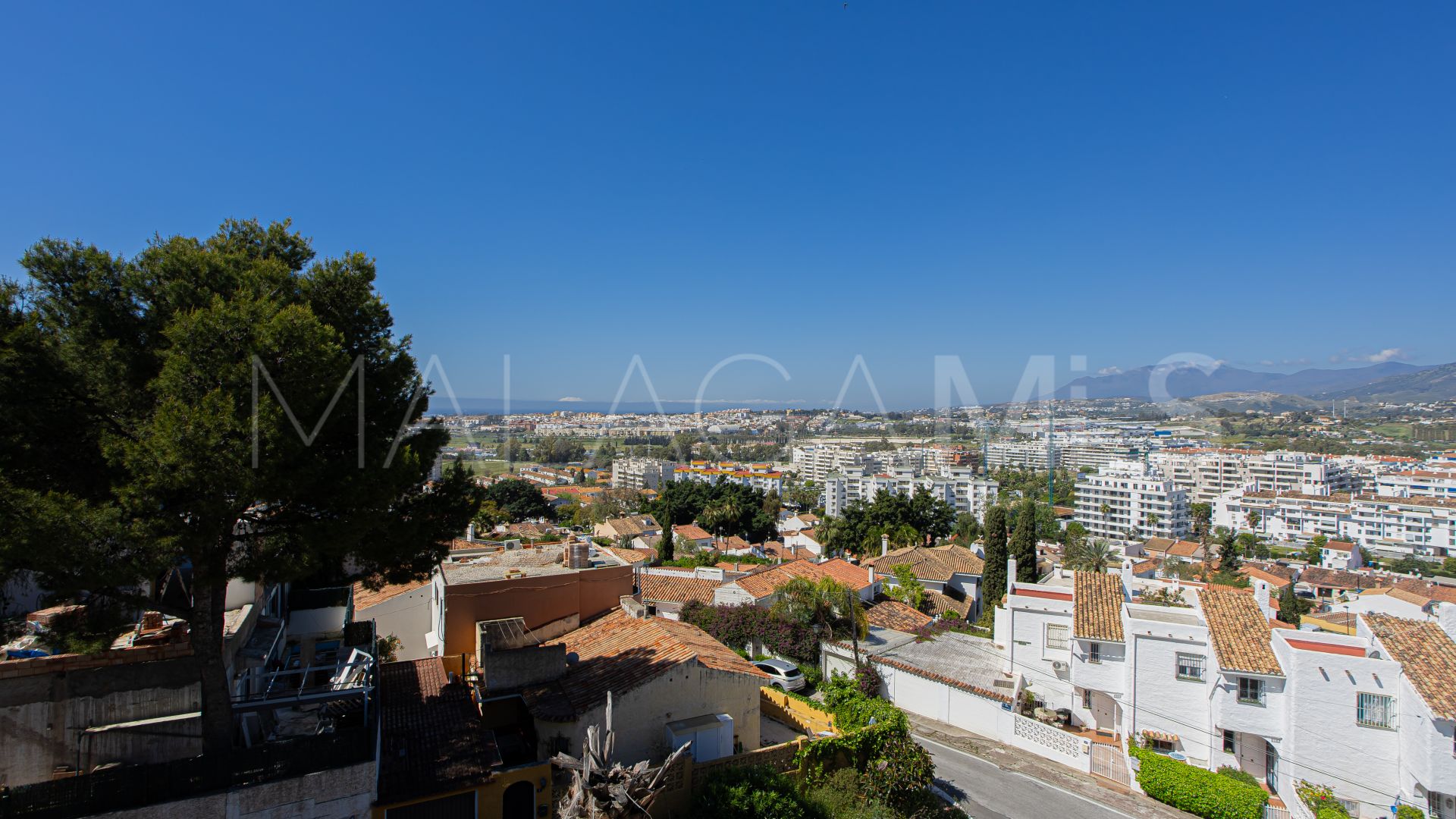 Buy apartamento in Nueva Andalucia