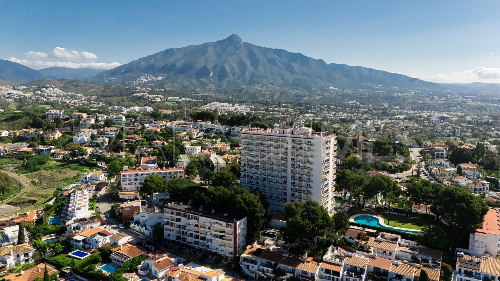 Buy apartamento in Nueva Andalucia