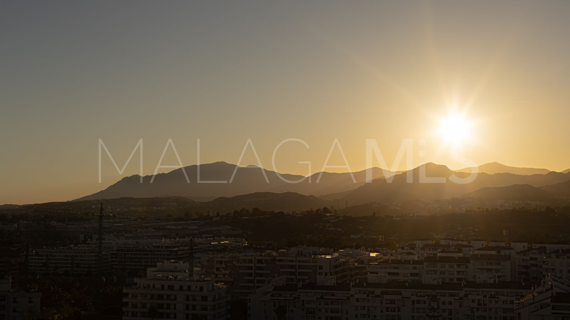 Buy apartamento in Nueva Andalucia