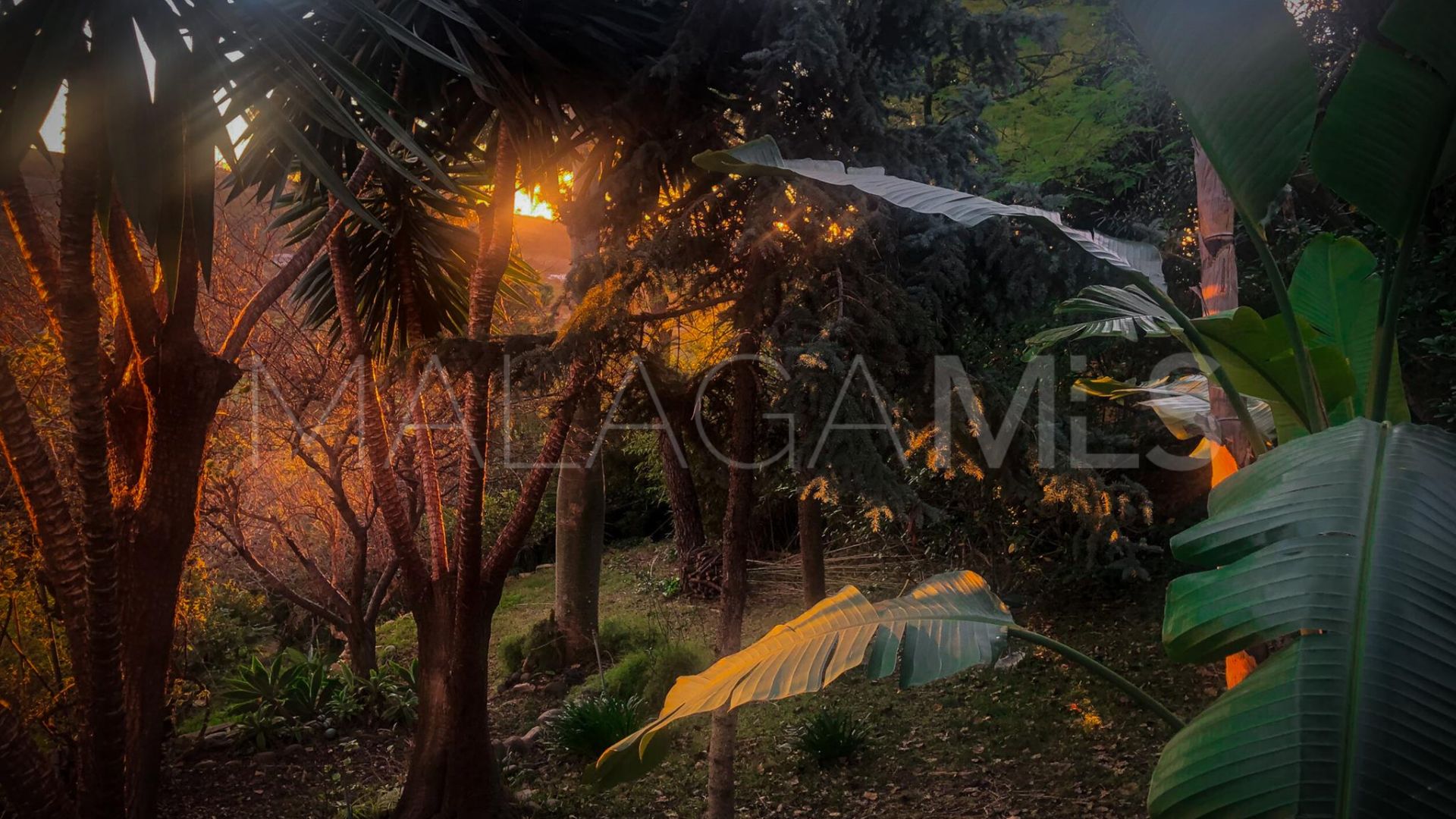 Villa for sale in Benahavis