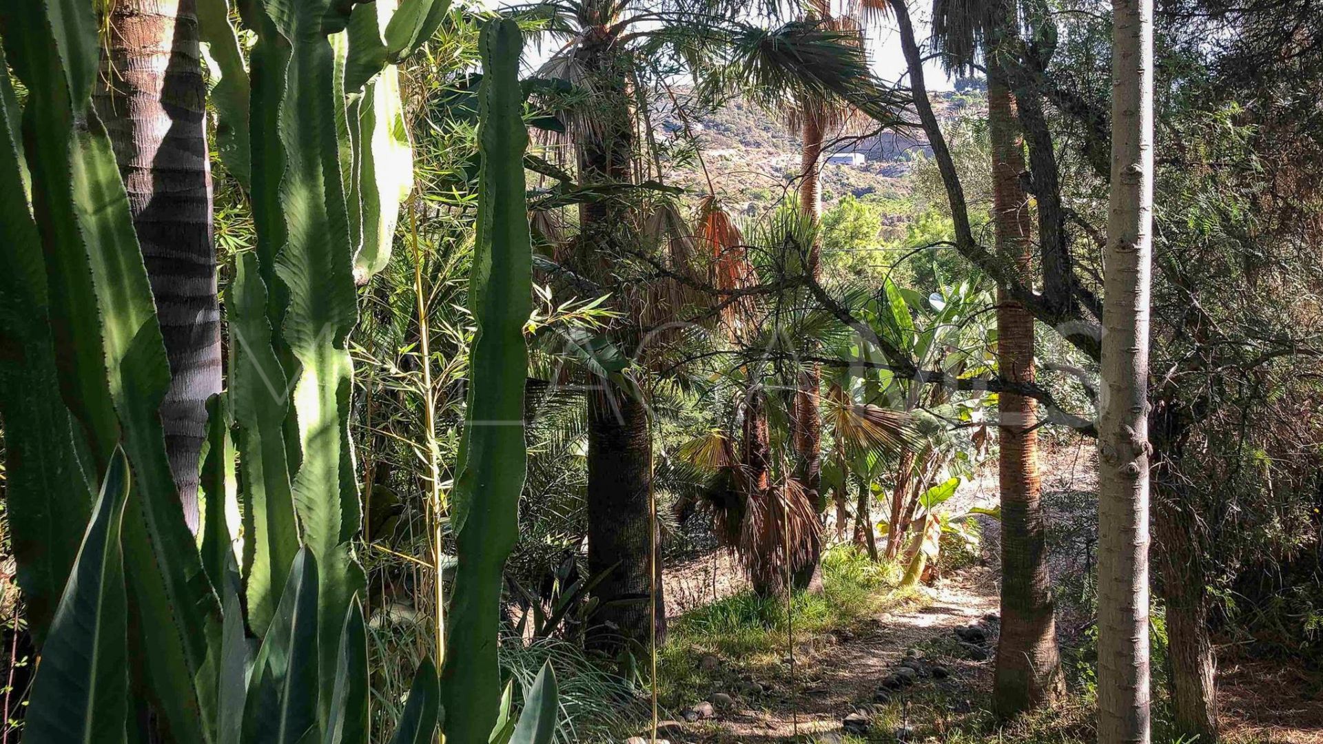 Villa for sale in Benahavis