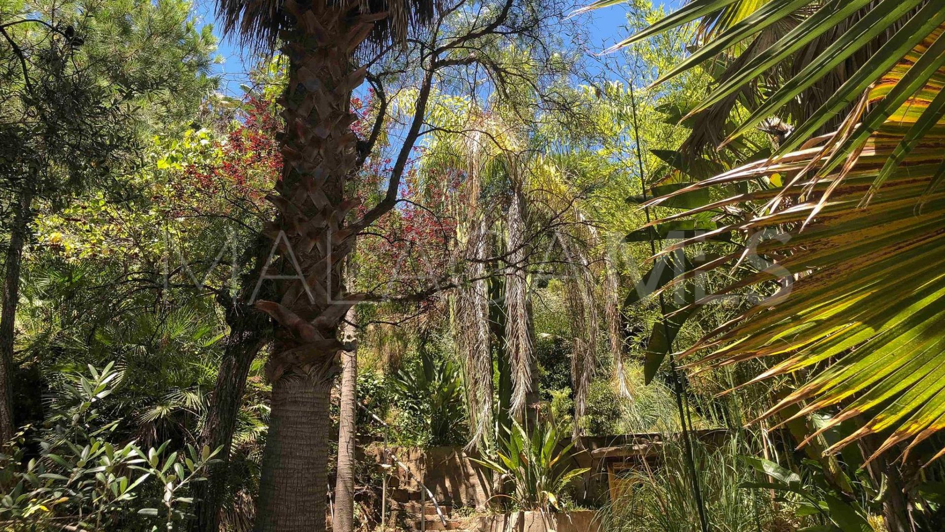 Villa for sale in Benahavis