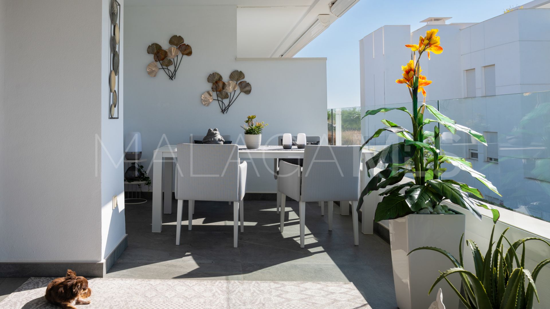 Benahavis apartment for sale