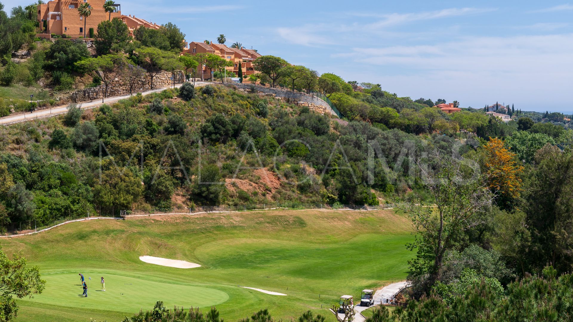 Villa for sale in Elviria