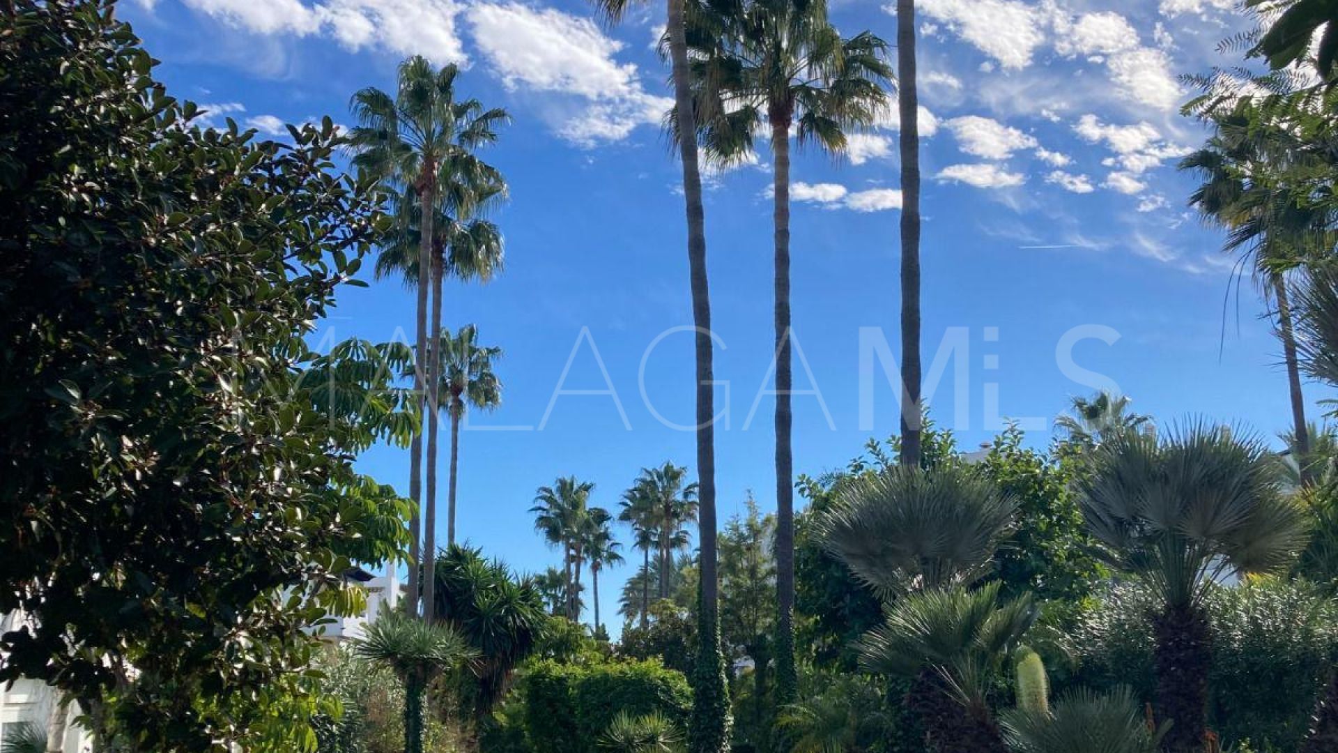 For sale penthouse in Costalita del Mar