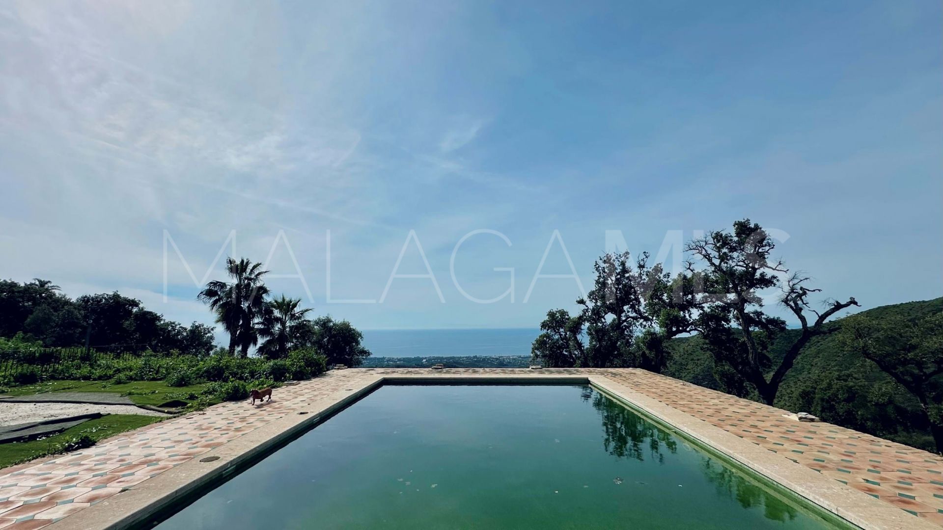 Herrenhaus for sale in Las Chapas