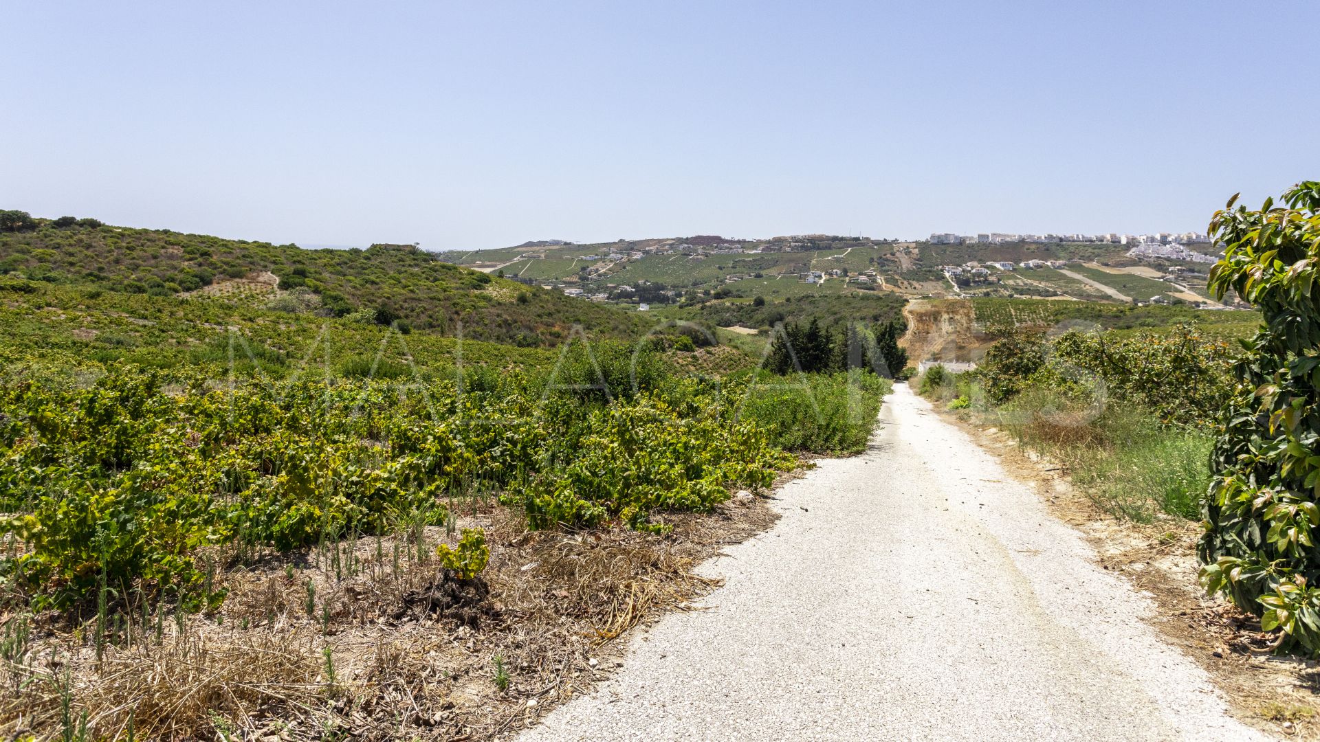 Finca for sale in Doña Julia