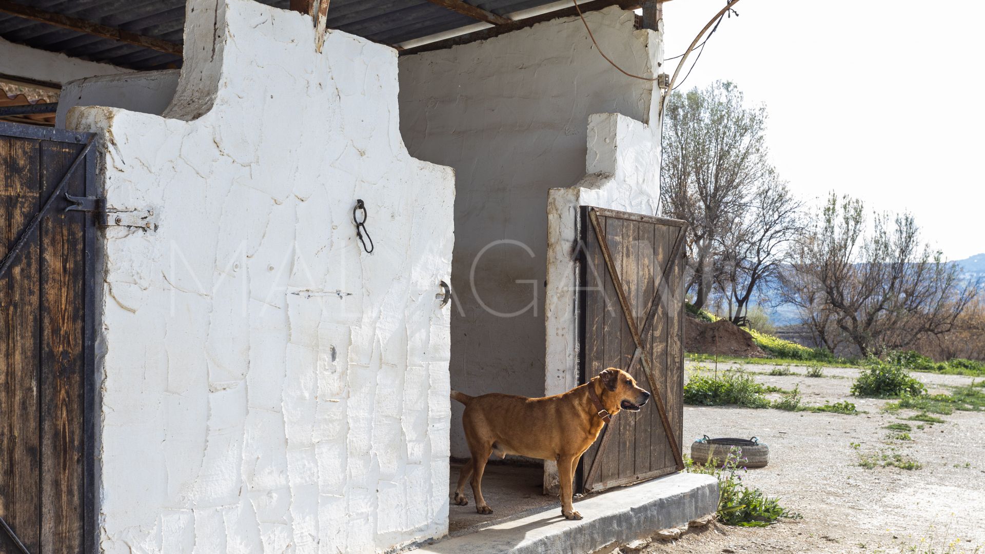 Landhaus for sale in Campo Mijas