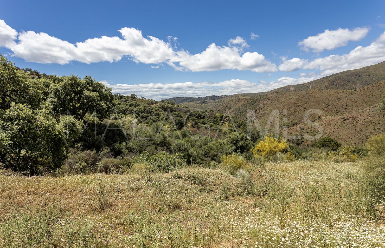 Benahavis Centro plot for sale