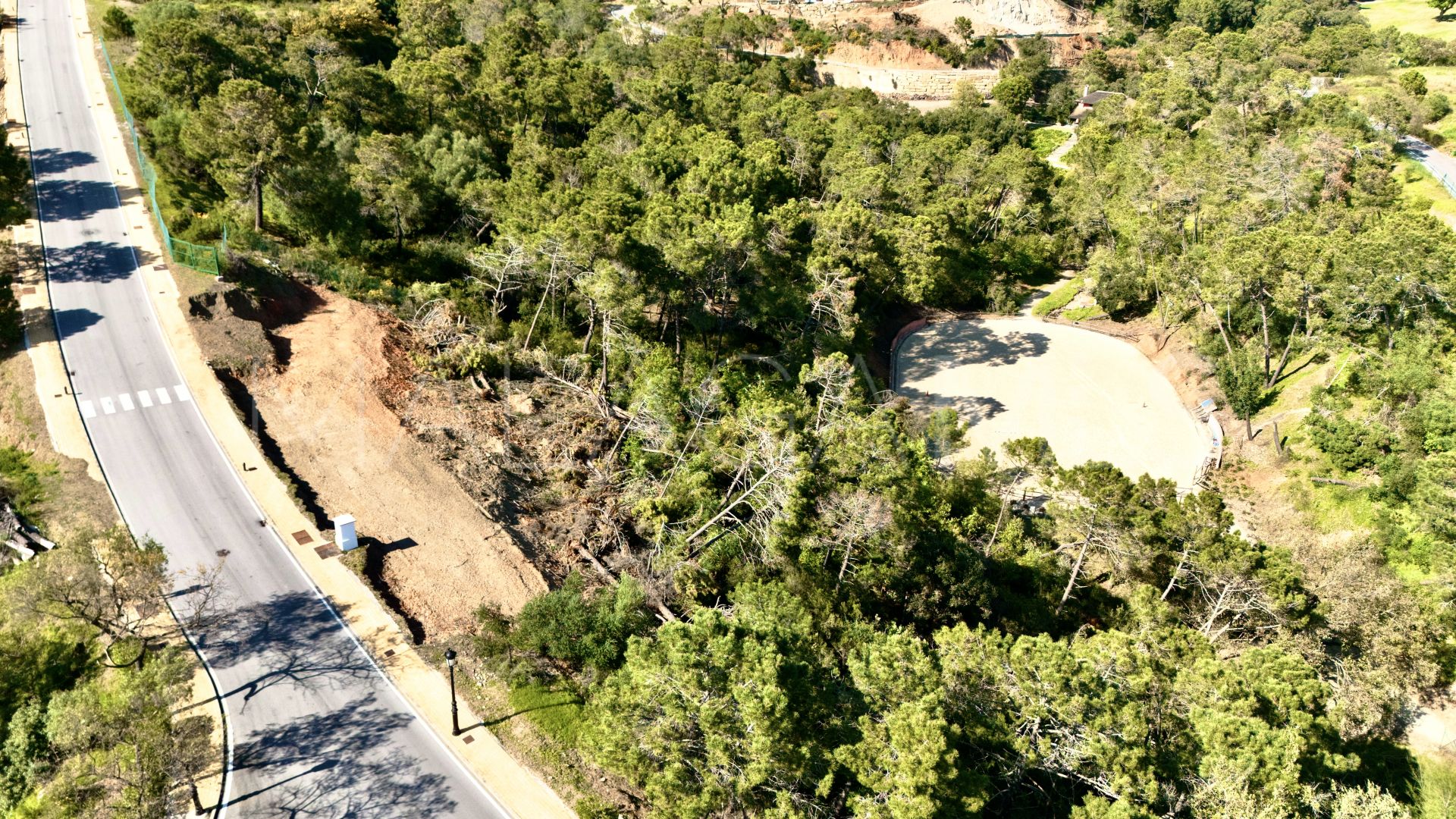 Terrain for sale in Montemayor