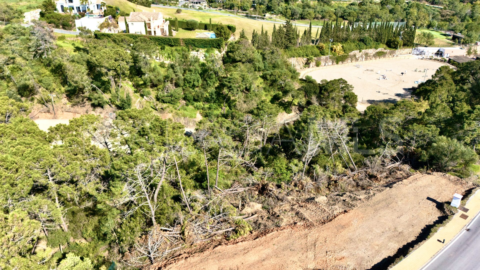 Terrain for sale in Montemayor