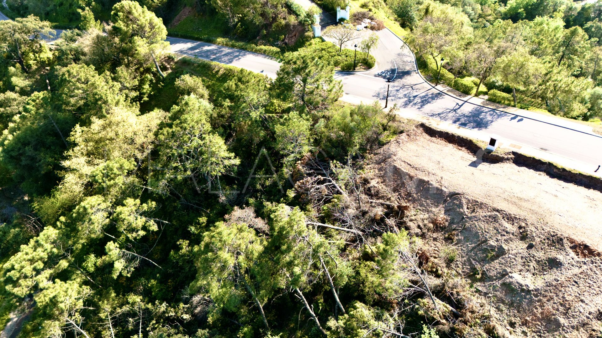 Terrain for sale in Montemayor