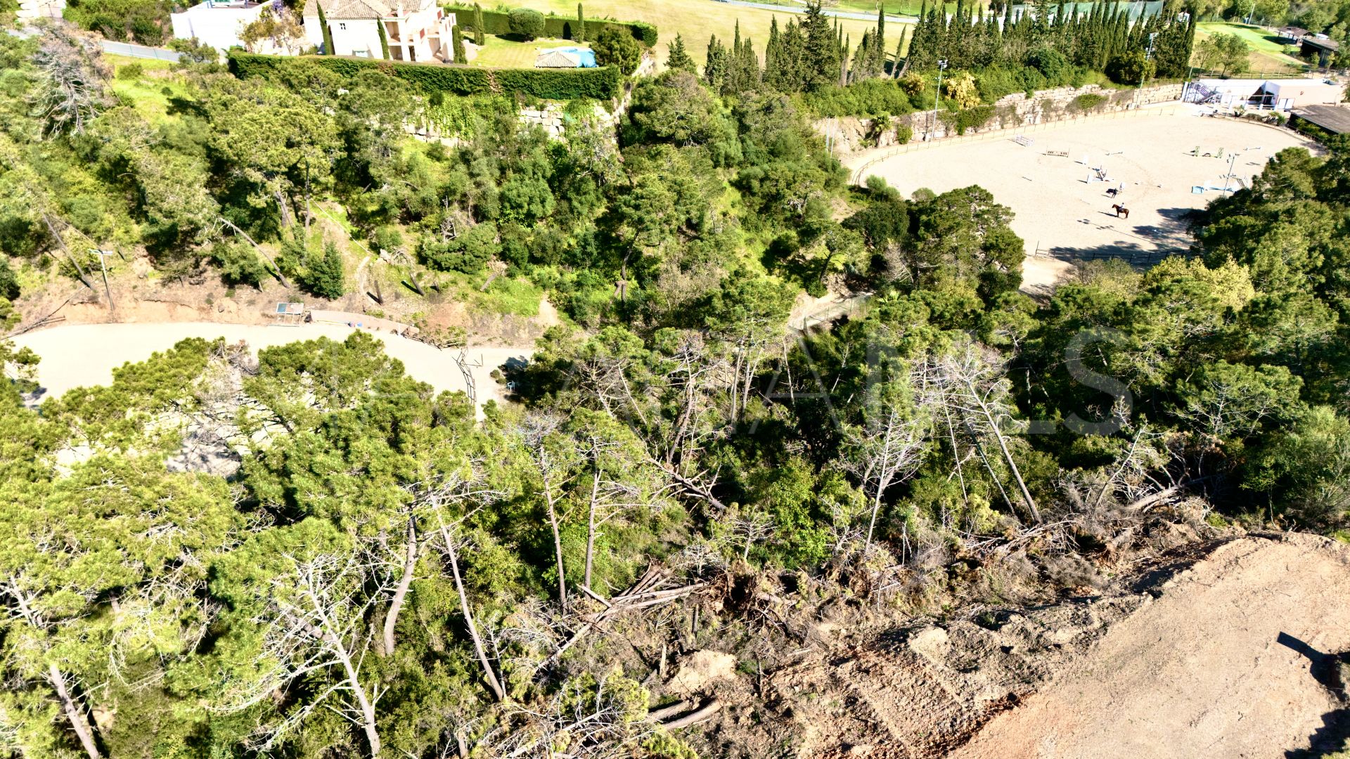 Terrain for sale in Montemayor
