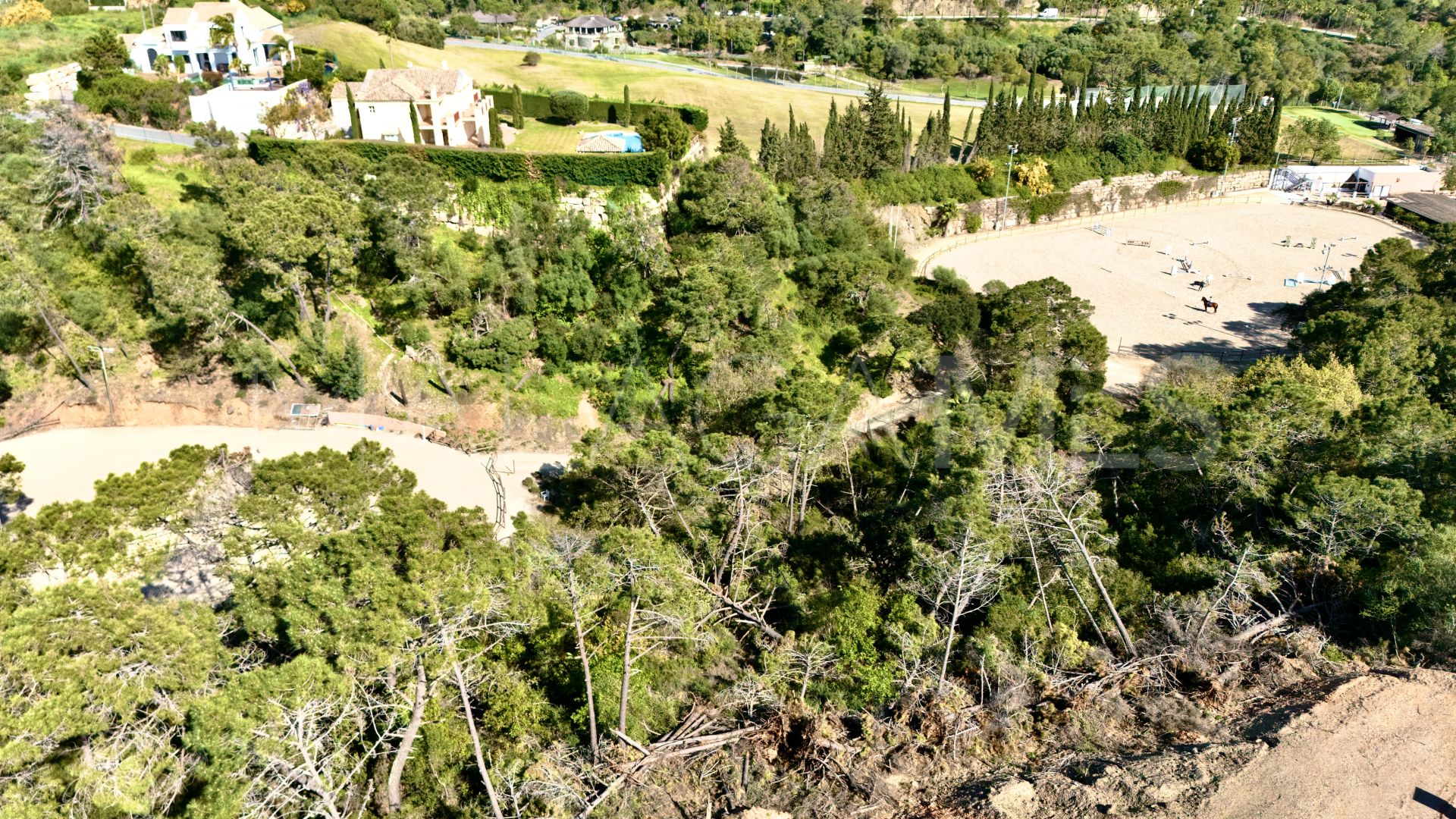 Terrain for sale in Montemayor