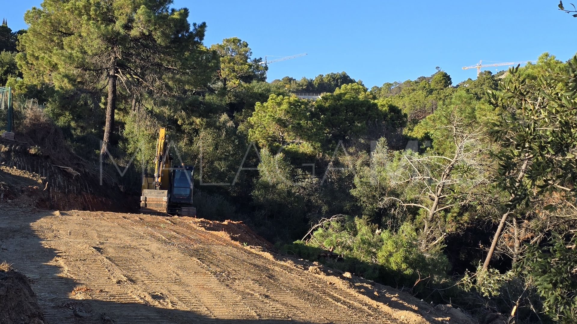 Tomt for sale in Montemayor