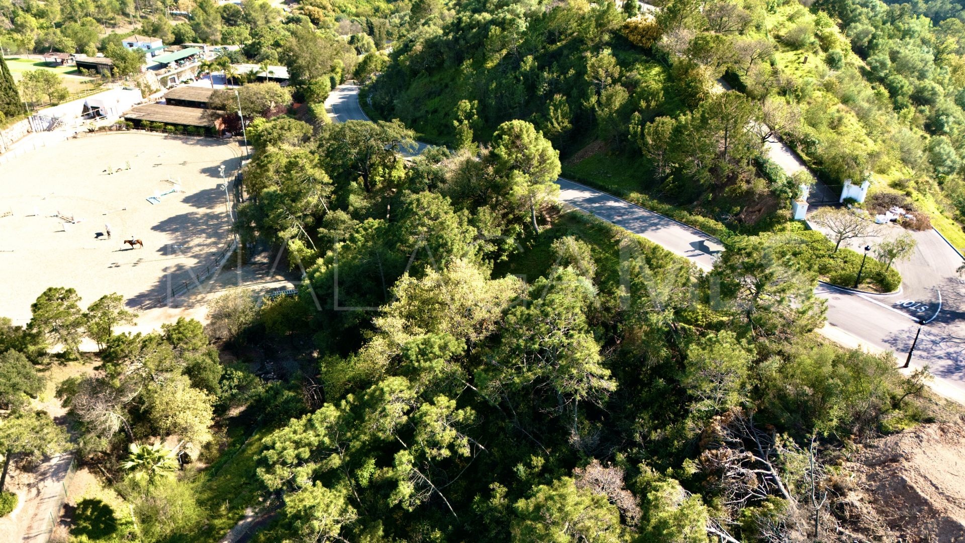 Terrain for sale in Montemayor