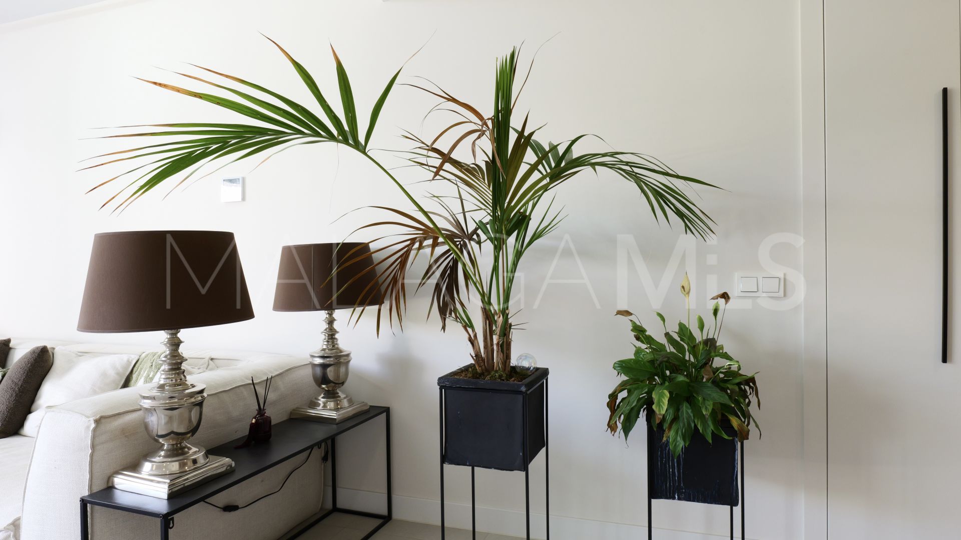 Buy Las Mesas apartment