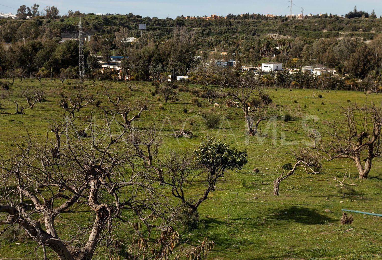 La Resina Golf, parcela a la venta