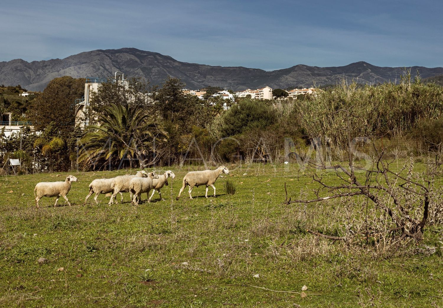 La Resina Golf, parcela a la venta