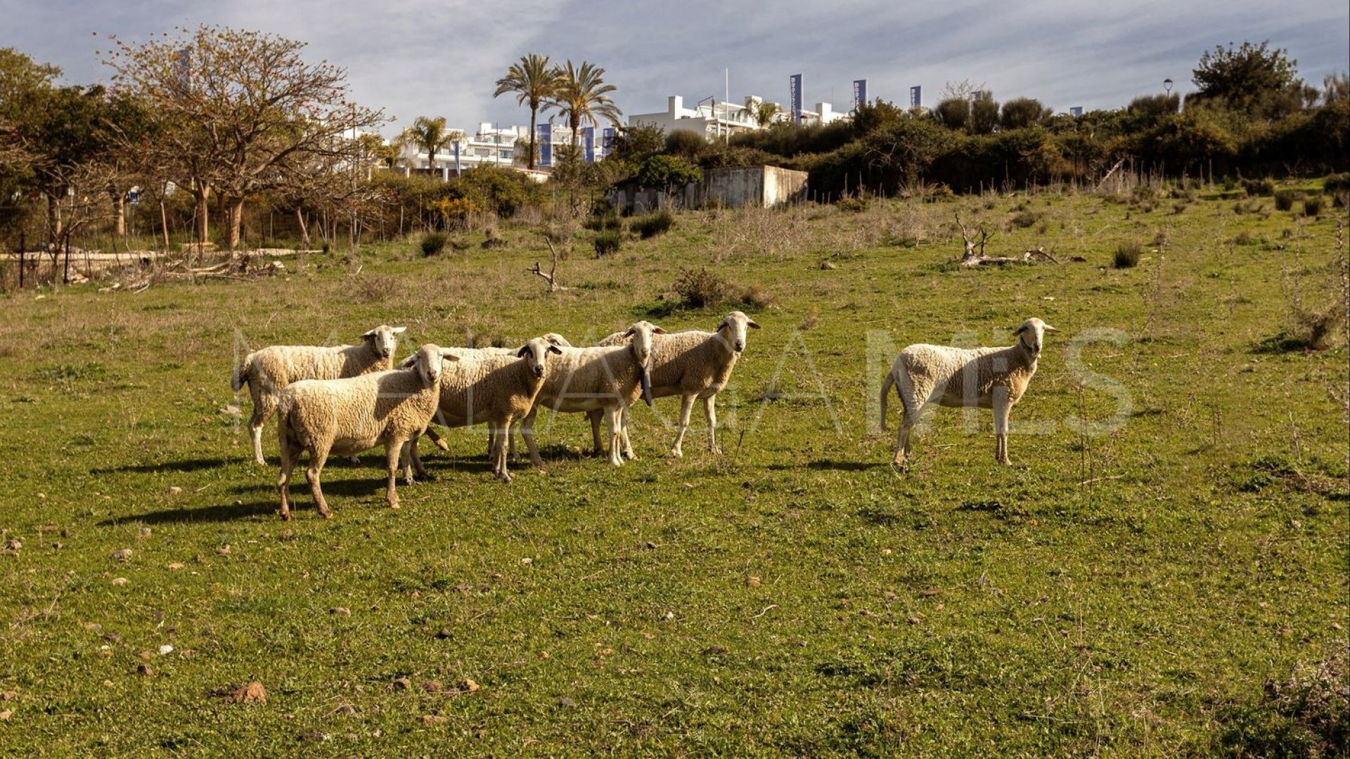 La Resina Golf, parcela a la venta