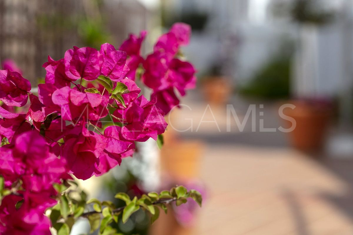 Ground floor apartment for sale in Nueva Andalucia with 3 bedrooms