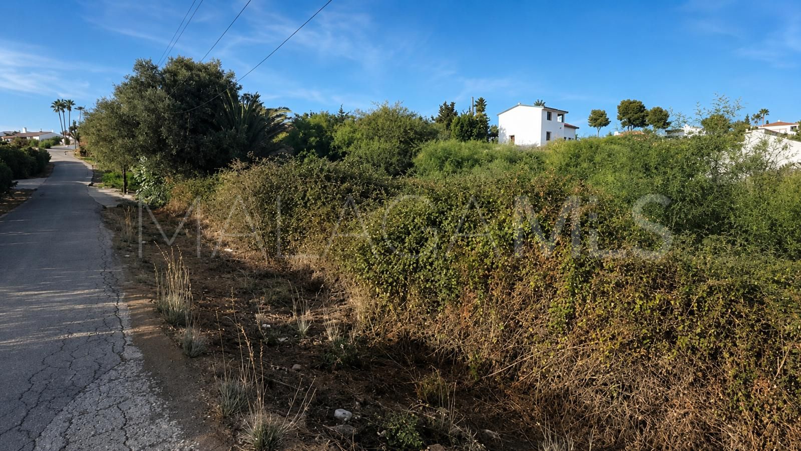 For sale plot in Puerto Romano