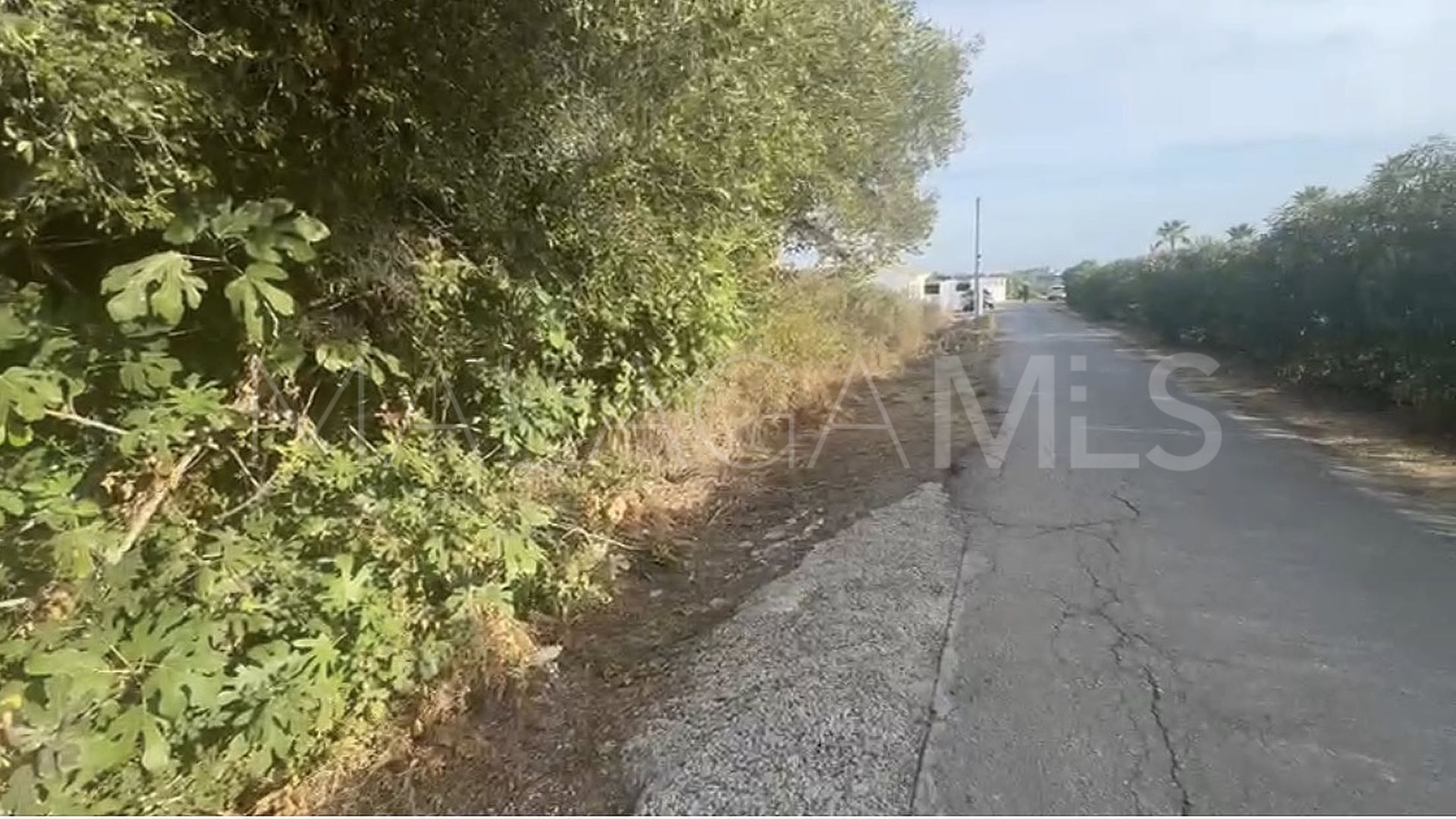 For sale plot in Puerto Romano