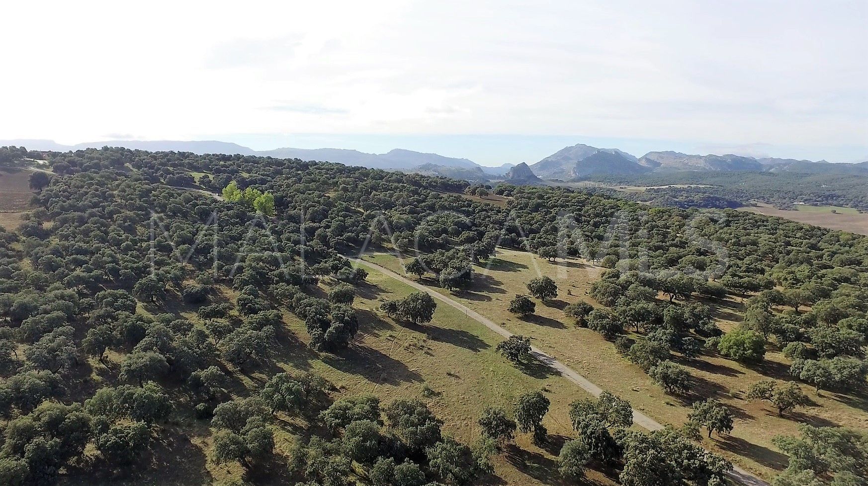 Finca for sale in Ronda Centro