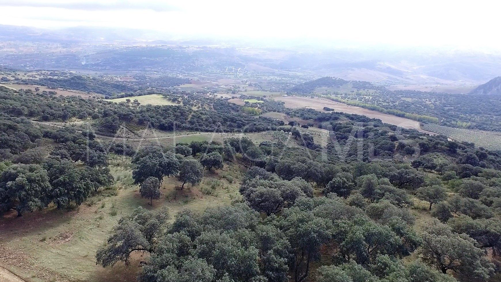 Finca for sale in Ronda Centro