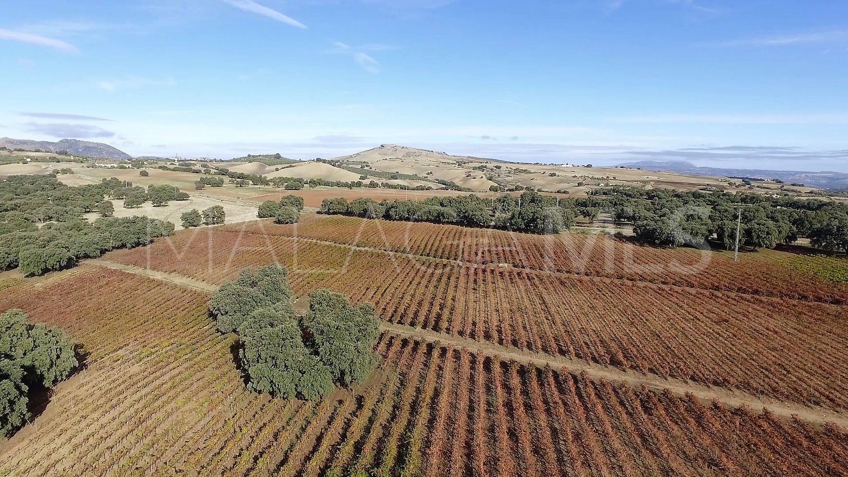 Finca for sale in Ronda Centro