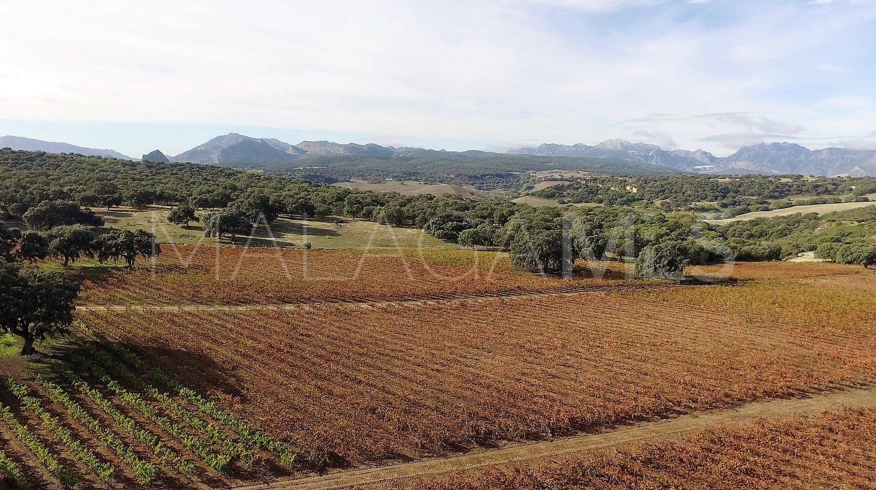 Finca for sale in Ronda Centro