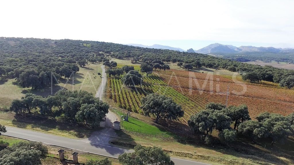 Finca for sale in Ronda Centro