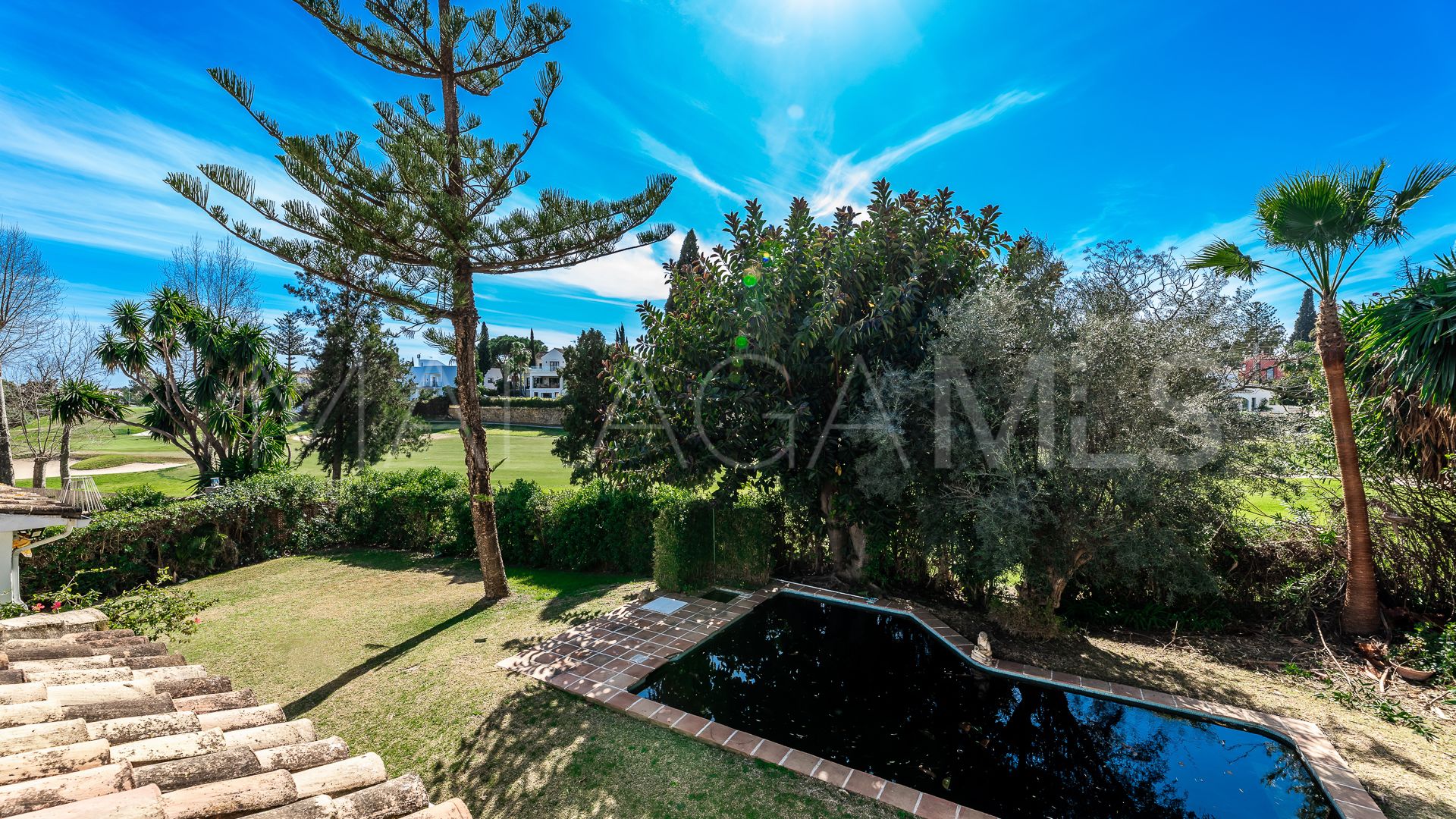 Villa for sale in Guadalmina Alta