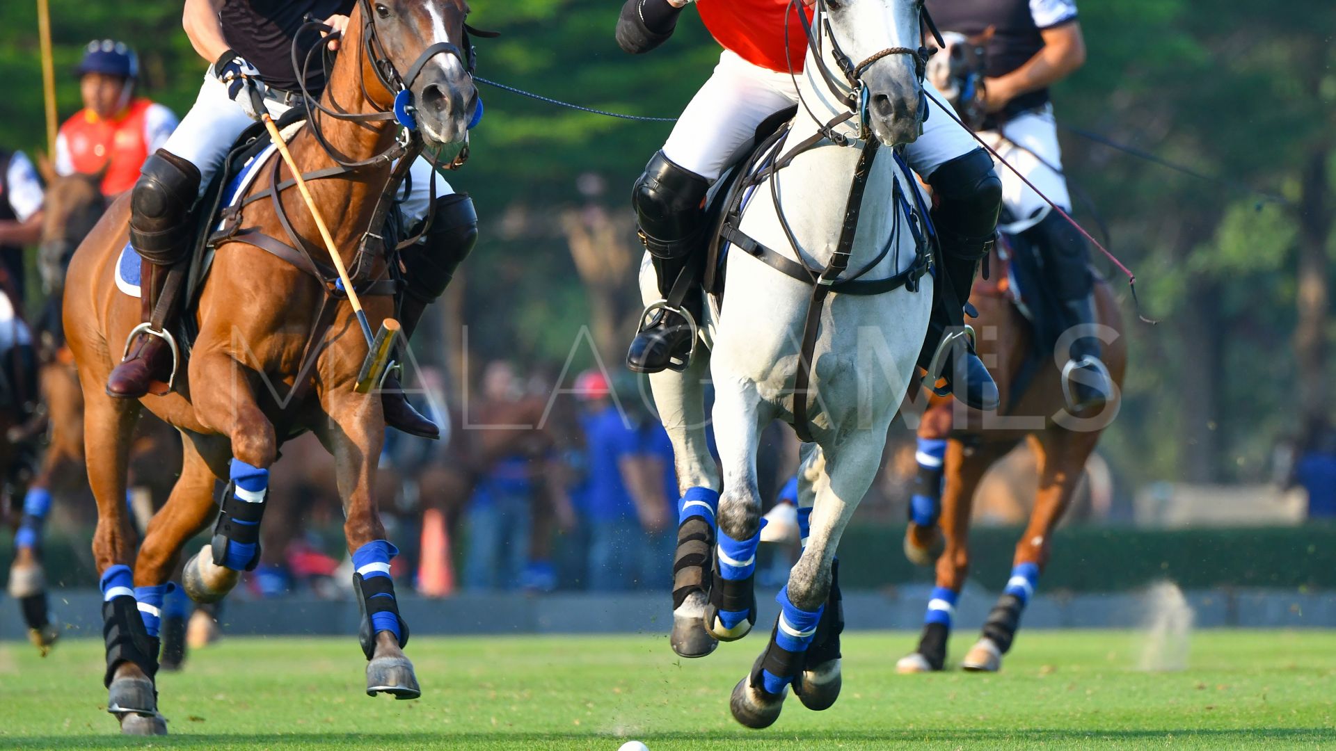 Ground floor apartment with 2 bedrooms for sale in Bahia de las Rocas