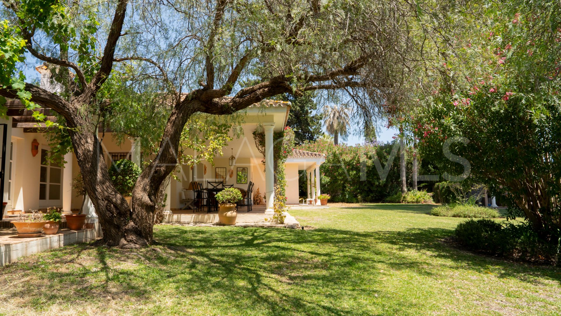 Buy villa in El Paraiso