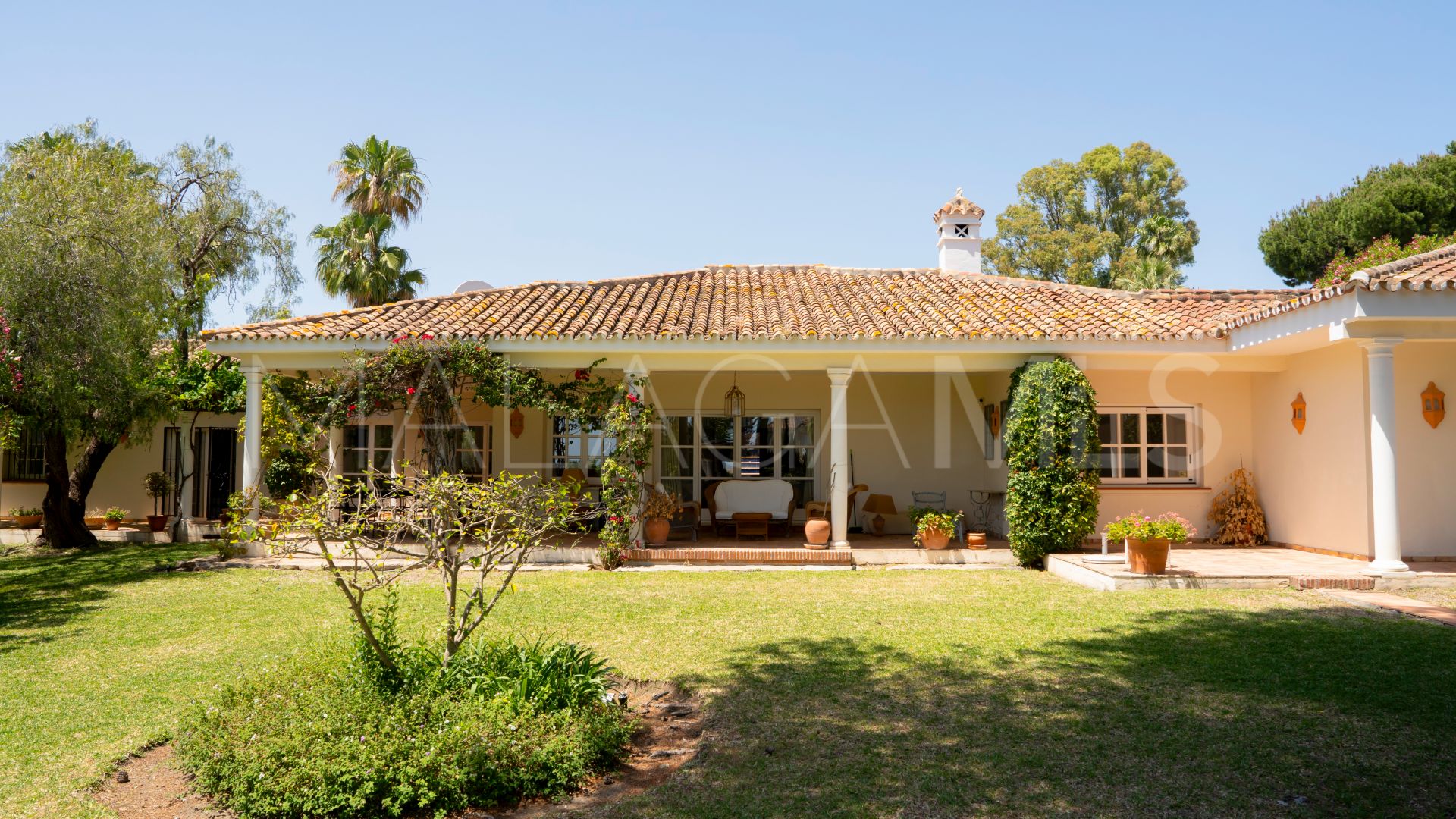 Buy villa in El Paraiso