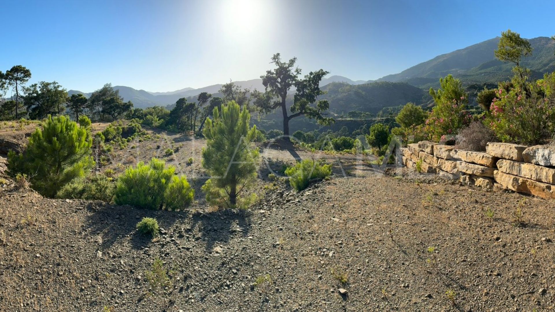 Grundstück for sale in La Zagaleta